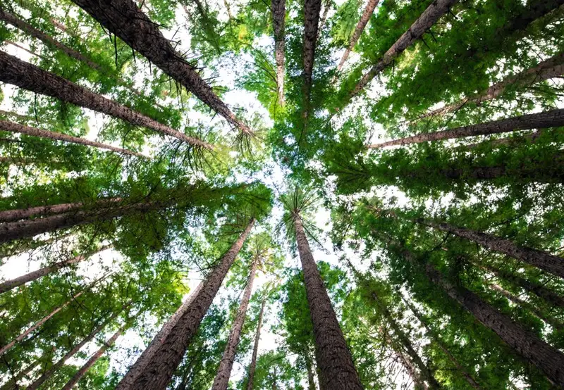 Image related to Cotubanamá National Park