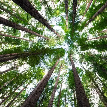 Image related to Cotubanamá National Park