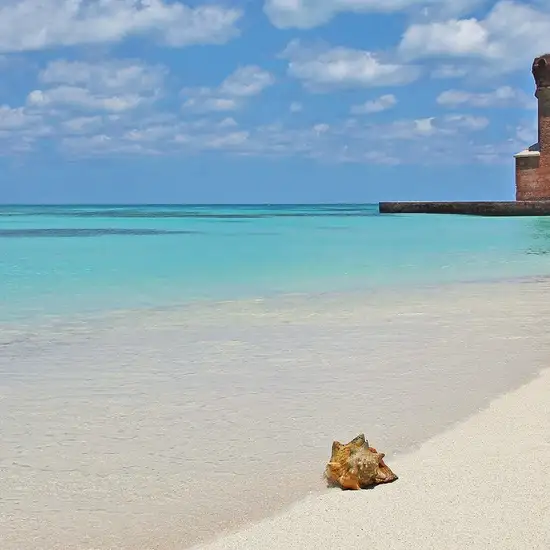 Image related to National Park
