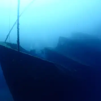 Image related to Scuba Diving 