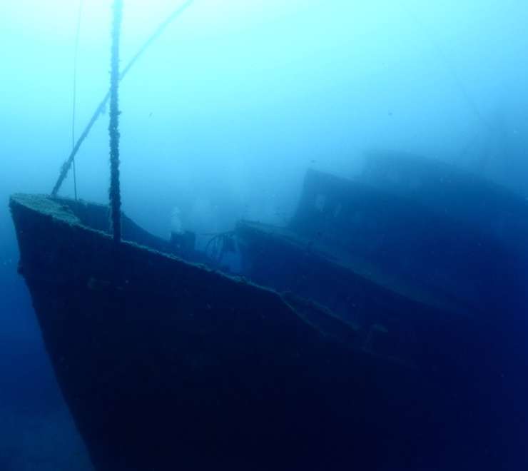 Scuba Diving 