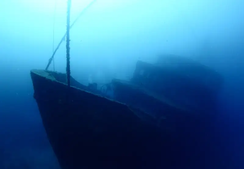 Scuba Diving 