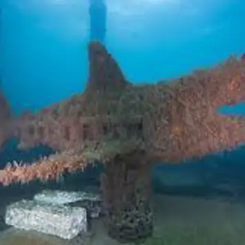 Image related to  Busselton Jetty and Underwater Sculptures Snorkel Boat Tour