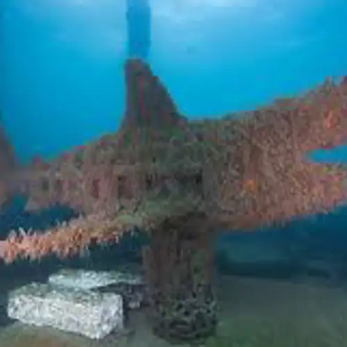 Image related to  Busselton Jetty and Underwater Sculptures Snorkel Boat Tour