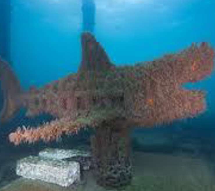  Busselton Jetty and Underwater Sculptures Snorkel Boat Tour