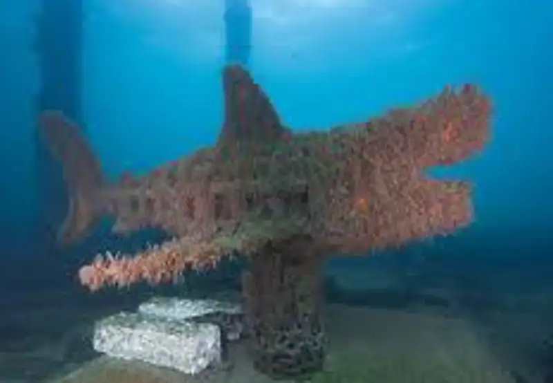  Busselton Jetty and Underwater Sculptures Snorkel Boat Tour