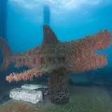 Image related to  Busselton Jetty and Underwater Sculptures Snorkel Boat Tour