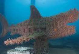 IgluCruise.Application.ViewModels.Shared.WebImageViewModel?.Description