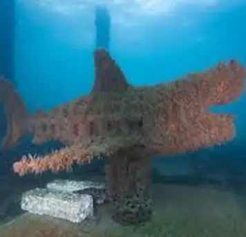 Image related to  Busselton Jetty and Underwater Sculptures Snorkel Boat Tour