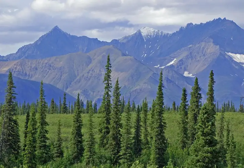 Broad Pass