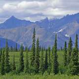 Image related to Broad Pass