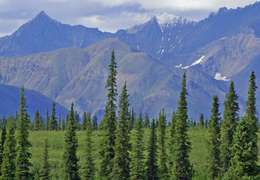 IgluCruise.Application.ViewModels.Shared.WebImageViewModel?.Description