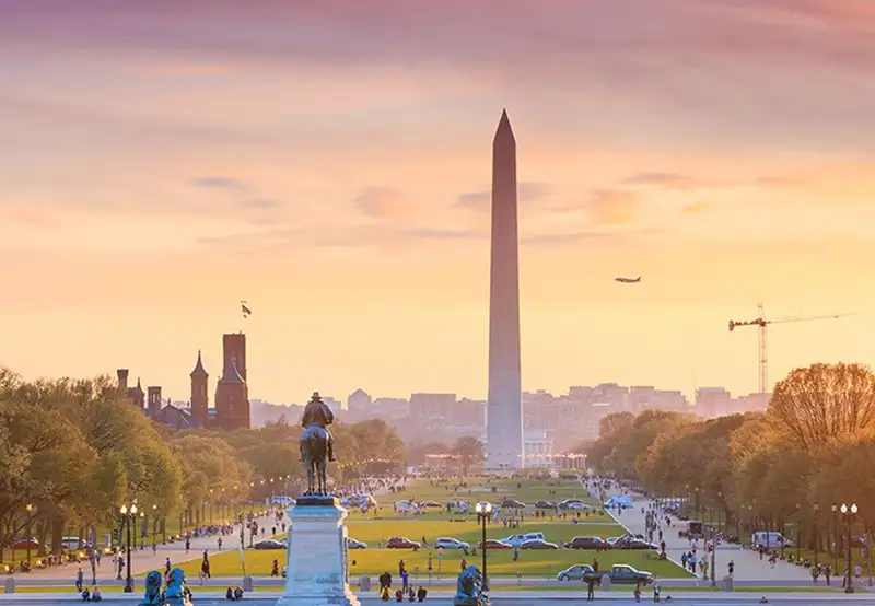 Washington D.C