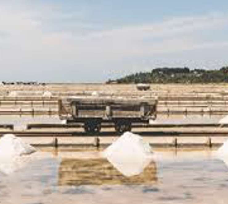 Piran Salt Pans (Sečovlje Salina)
