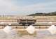  Piran Salt Pans (Sečovlje Salina)
