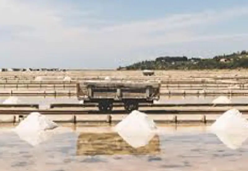  Piran Salt Pans (Sečovlje Salina)