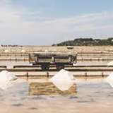 Image related to  Piran Salt Pans (Sečovlje Salina)