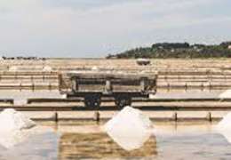 IgluCruise.Application.ViewModels.Shared.WebImageViewModel?.Description