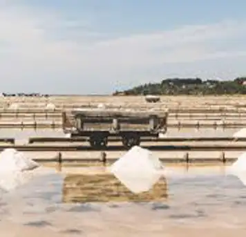 Image related to  Piran Salt Pans (Sečovlje Salina)