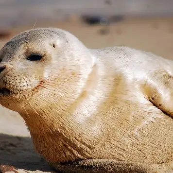 Image related to SeaLife Center