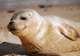 SeaLife Center