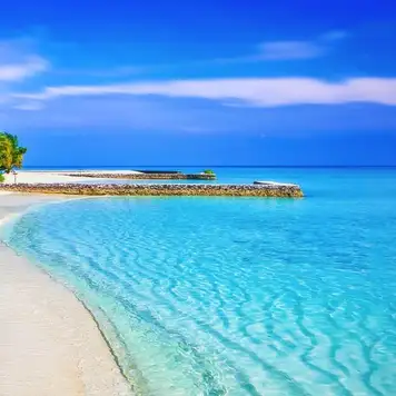 Image related to Beach