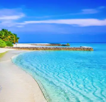 Image related to Beach