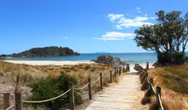 Image related to Tauranga