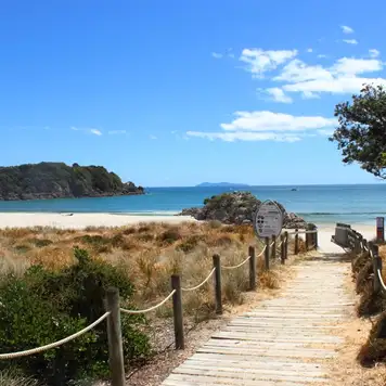 Image related to Tauranga