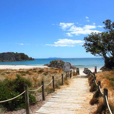 Photo overview of Tauranga