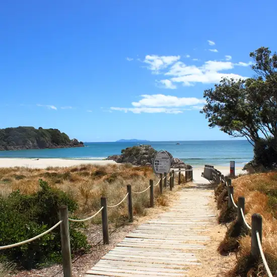 Image related to Tauranga