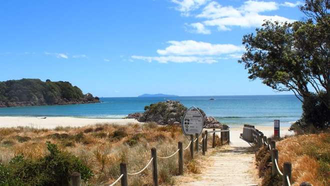 Tauranga (New Zealand)