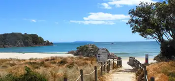 Image related to Tauranga