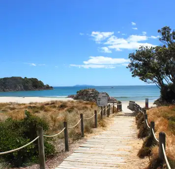 Image related to Tauranga