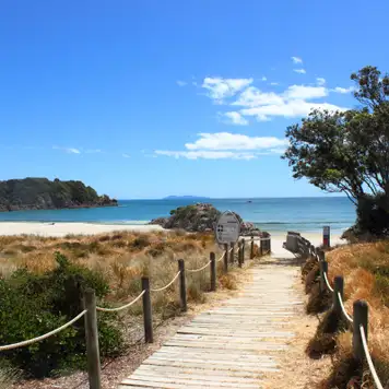 Image related to Tauranga