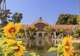 Balboa Park 