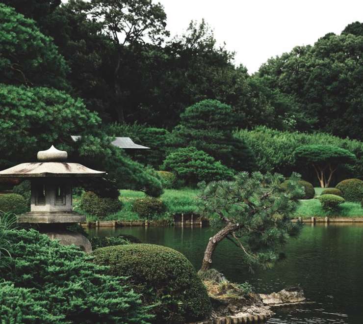 Garden Tour - Shinjuku Gyoen National Garden