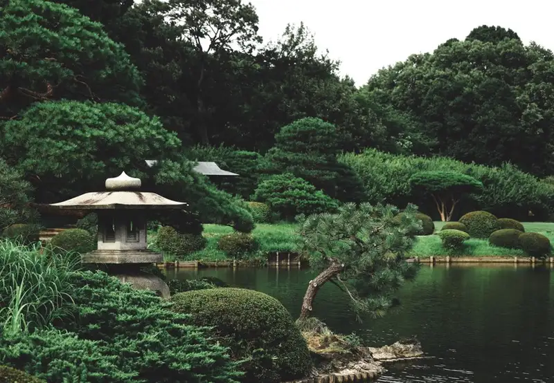Garden Tour - Shinjuku Gyoen National Garden
