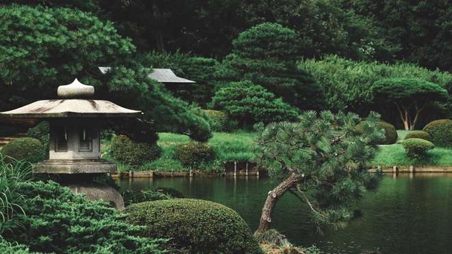 Shinjuku Gyoen National Garden Tour
