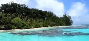 Image related to Kokas