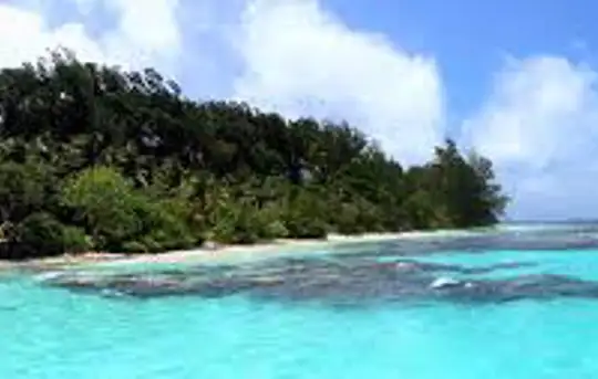 Image related to Kokas