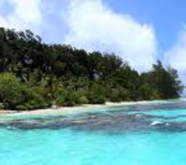 Kokas