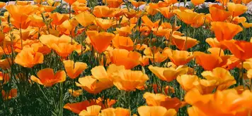 Image related to DBW Park