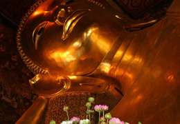 IgluCruise.Application.ViewModels.Shared.WebImageViewModel?.Description