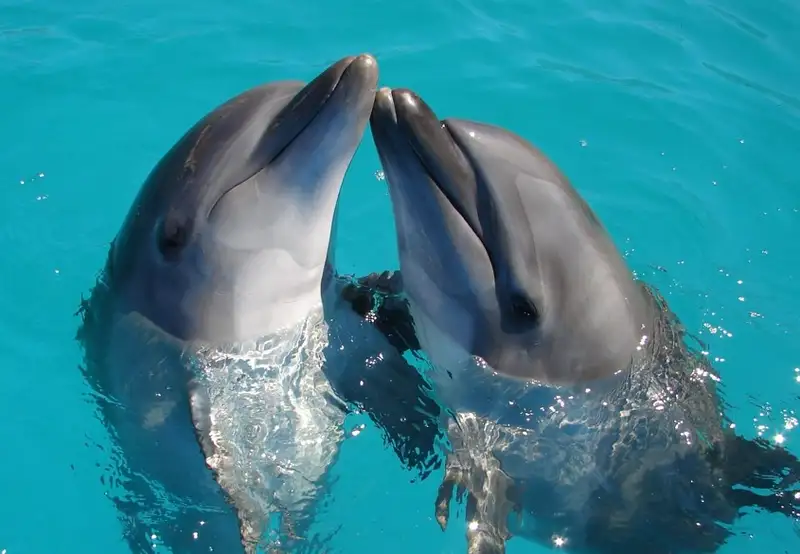 Image related to Sea Museum