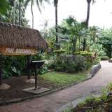 Image related to Bougainville Park