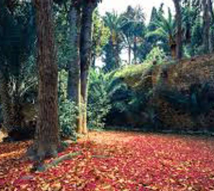Orto Botanico Corsini