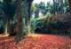 Orto Botanico Corsini