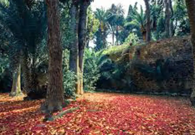 Orto Botanico Corsini