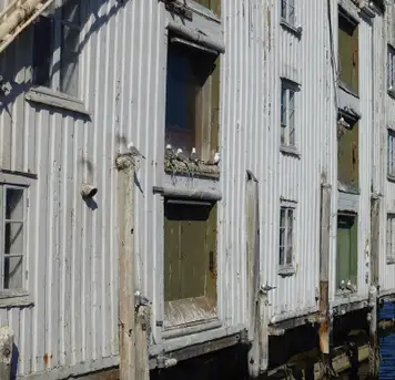 Image related to Image related to Nordmore Museum